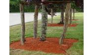 baches de piscines