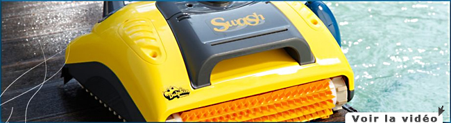dolphin robot swash basic