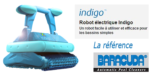 robot indigo zodiac