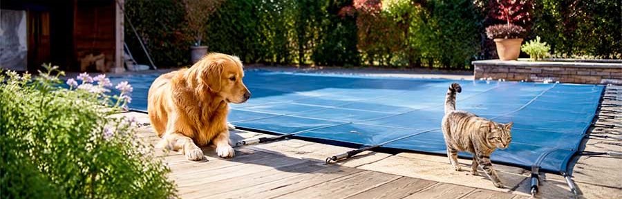 quelle bâche piscine pour chien et chat ou autres animaux
