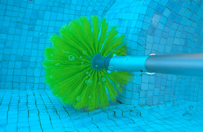 brosse piscine xl